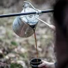Petromax Perkolatoren>Ausgieshilfe Edelstahl Perkolator Le14 | Le28