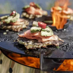 Petromax Grills><noscript><img width=